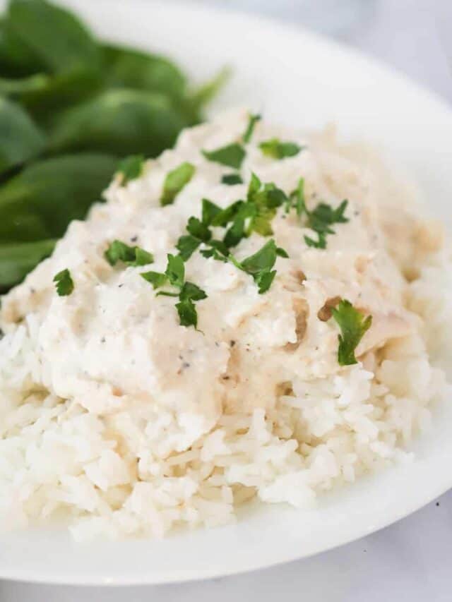 Slow Cooker Chicken And Gravy Story