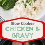 crockpot chicken and gravy