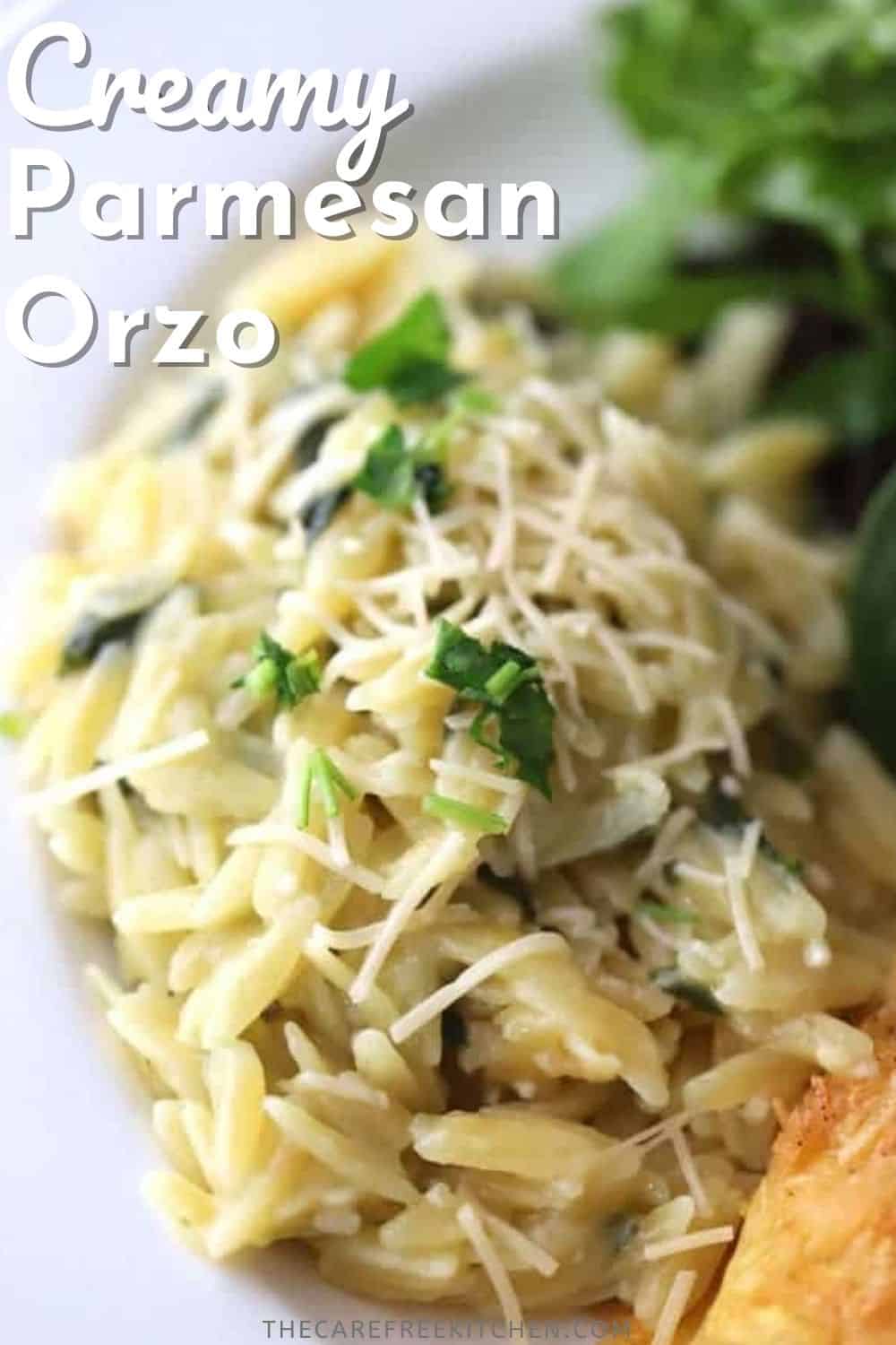 Garlic Parmesan Orzo Recipe - The Carefree Kitchen