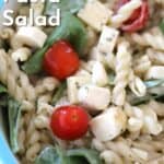 pesto ranch pasta salad recipe