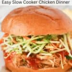 easy slow cooker tangy chicken recipe