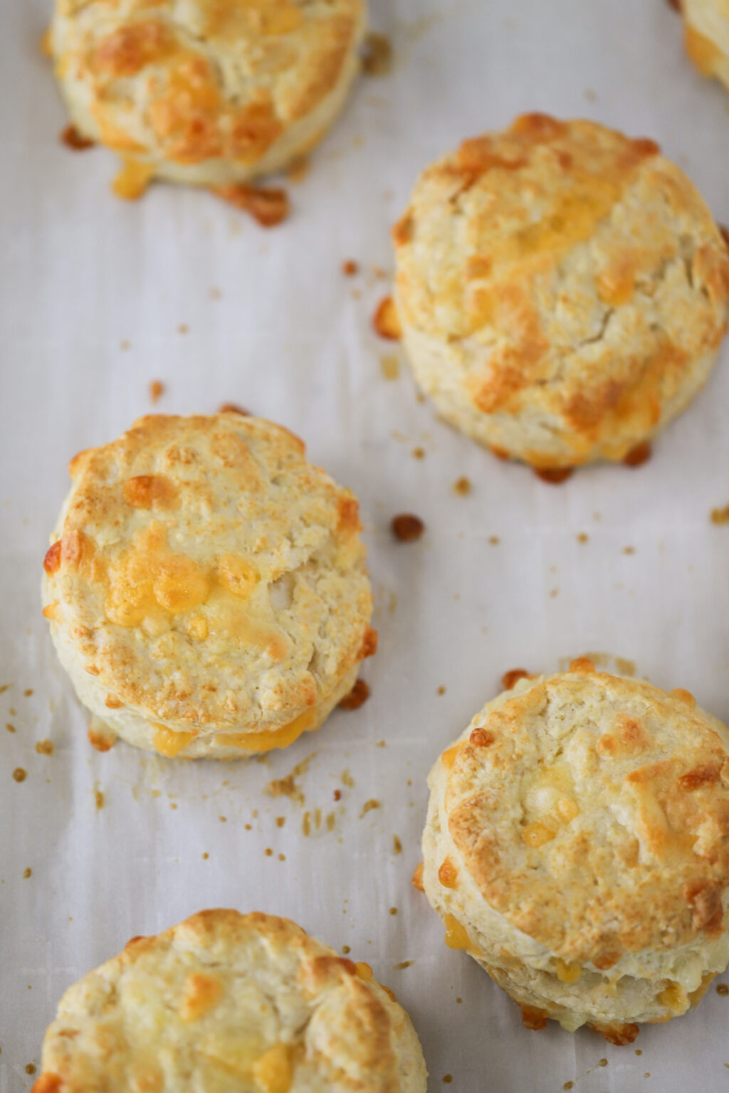 Cheddar Biscuits Recipe - The Carefree Kitchen