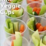 veggie cup, veggie cups for parties, vegetable cup