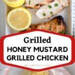 honey mustard grilled chicken