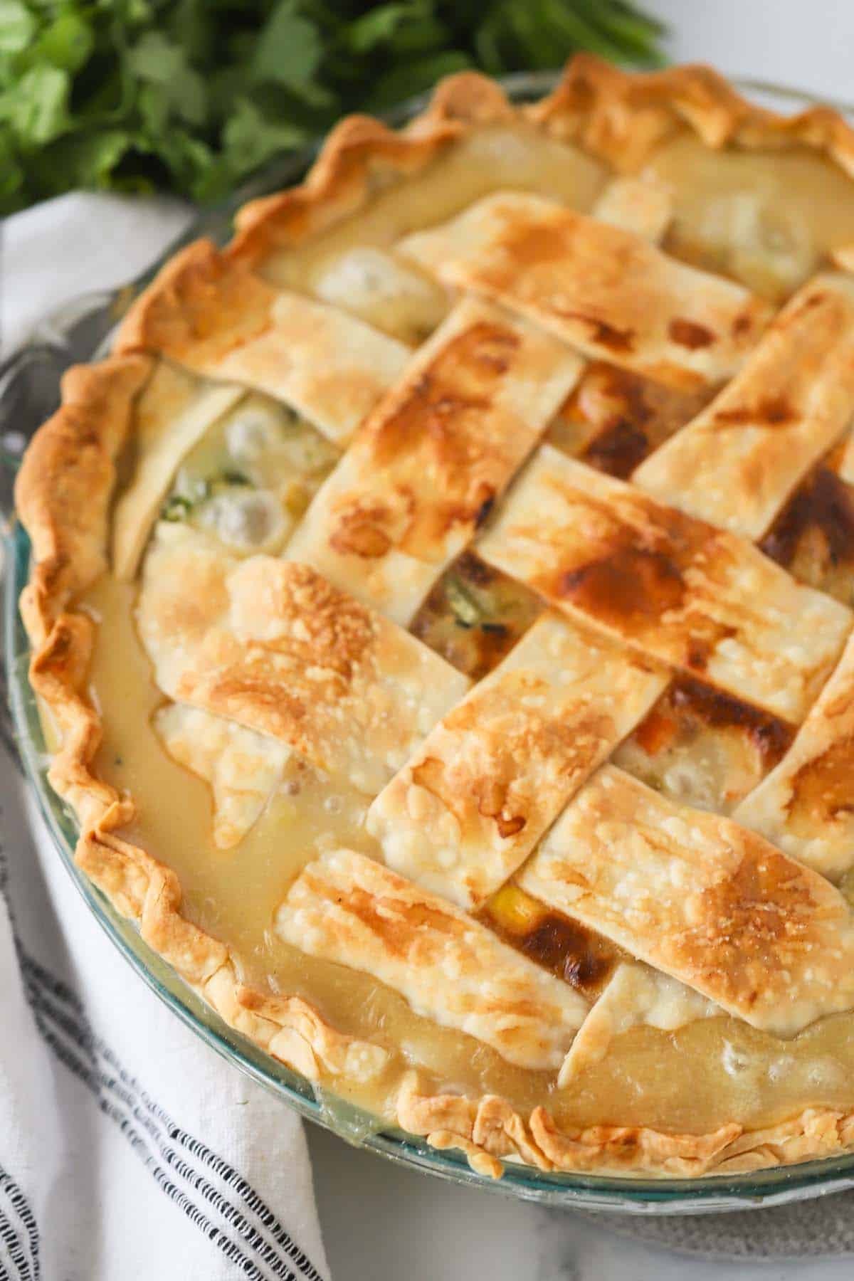 Best Chicken Pot Pie Recipe from Scratch - The Carefree Kitchen