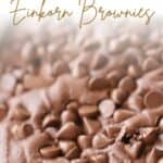 How to make Double Chocolate Brownies using einkorn flour; delicious dessert recipe
