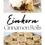 The Best Einkorn Flour Cinnamon Roll Recipe