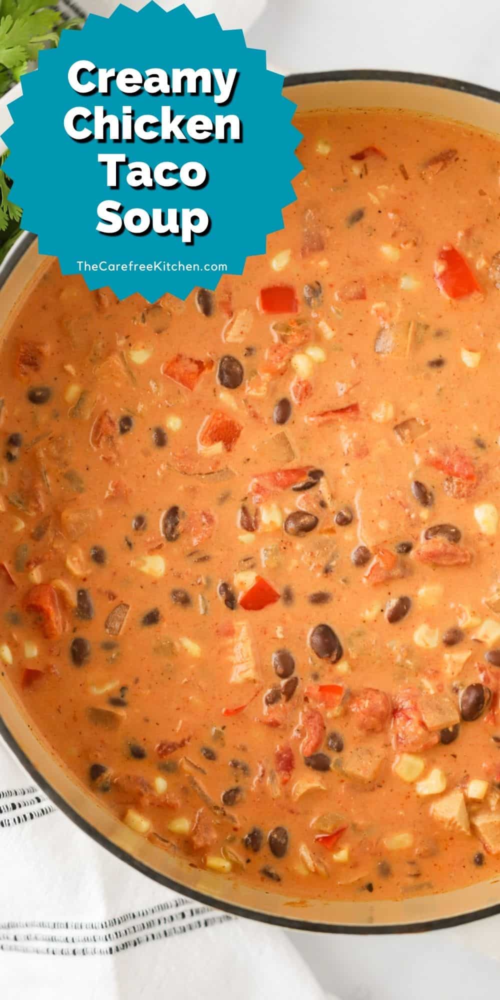 Chicken Taco Soup Recipe - The Carefree Kitchen