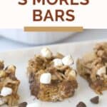 The best No-Bake S'mores Bars recipe