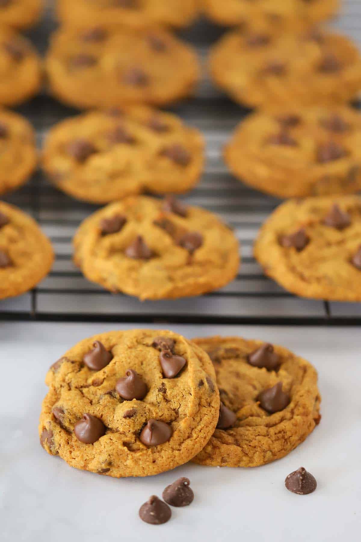 Pumpkin Chocolate Chip Cookies - The Carefree Kitchen