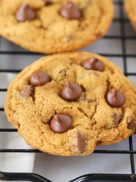 pumpkin cookies with chocolate chips, pumpkin chocolate chip cookies recipe.
