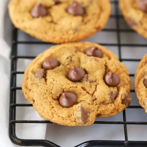 pumpkin cookies with chocolate chips, pumpkin chocolate chip cookies recipe.