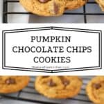 how to make the best pumpkin chocolate chips cookies recipe, easy pumpkin cookies, fall cookies recipe.