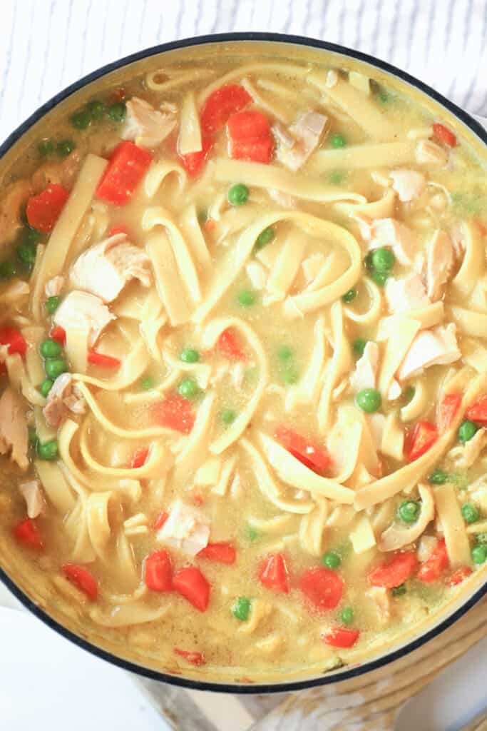 A bowl of chicken noodle soup (homestyle), filled with homemade noodles, carrots, peas, and more.
