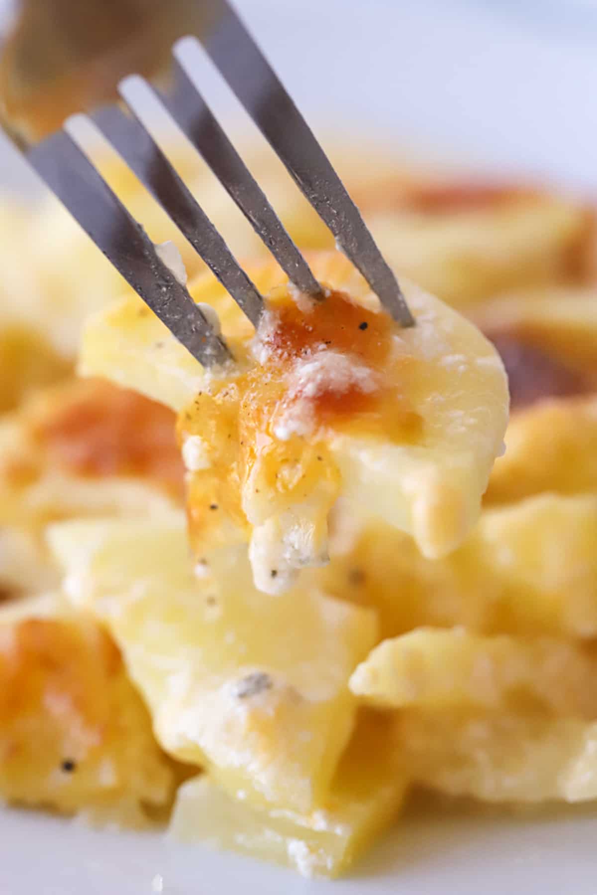 Golden Gruyere Potato Gratin 5 A generous serving of creamy Gruyere Scalloped Potatoes on a plate, ready to be enjoyed.