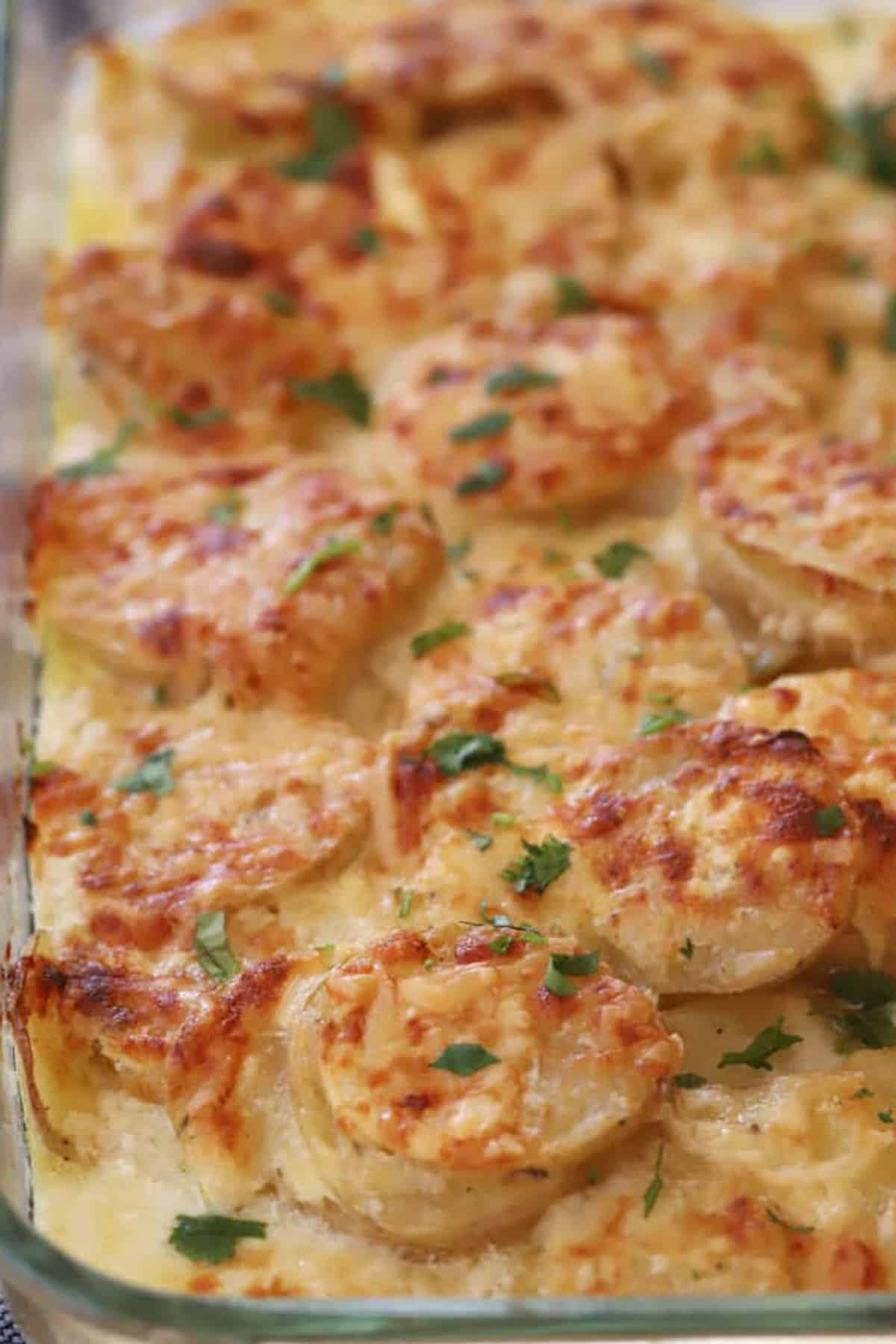 Golden Gruyere Potato Gratin 4 A close-up of the golden-brown, cheesy top of Gruyere Scalloped Potatoes, showing the perfect crust.