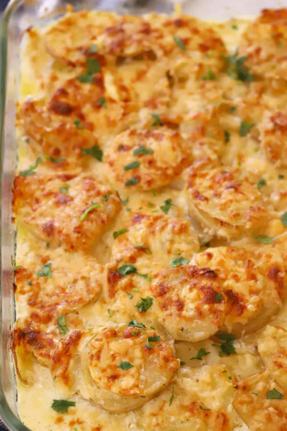 Golden Gruyere Potato Gratin 2 A baking dish full of golden brown, bubbly Gruyere Scalloped Potatoes, perfectly baked and ready to serve.