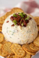 Ham And Cheddar Cheese Ball Recipe - The Carefree Kitchen