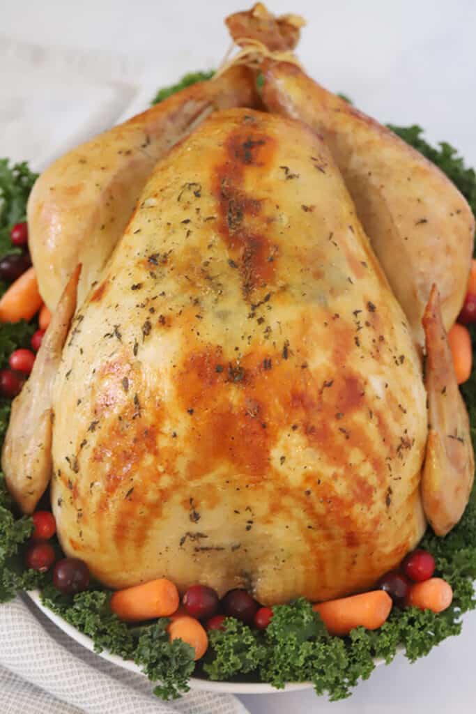 roasted holiday turkey recipe, best herbs for turkey, seasonings for roast turkey. herbs in turkey. herb turkey recipe.