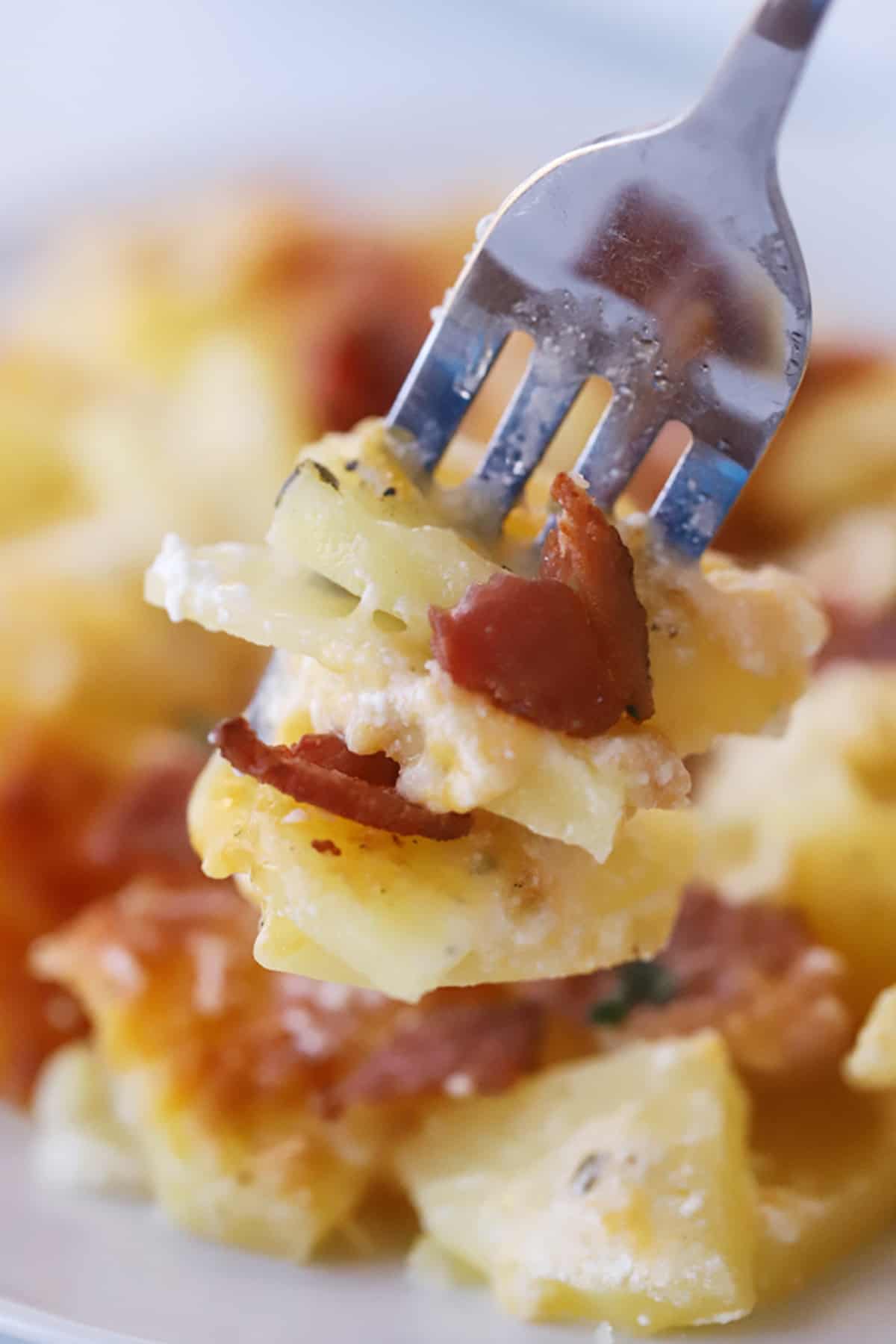 Smoky Bacon Potato Gratin 5 bacon and cheesy scalloped potatoes on a fork.