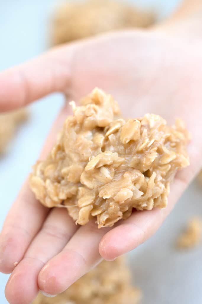 A hand holding no bake coconut cookies. Coconut oatmeal no bake cookies.