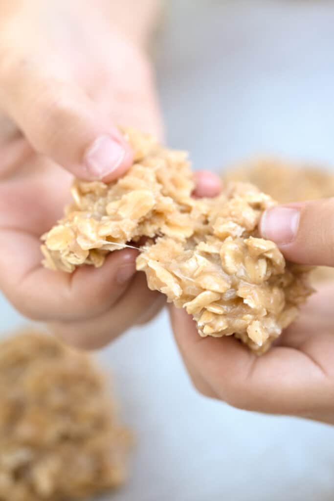 Peanut Butter no bake cookies with coconut and oats. Hands holding no bake cookies coconut.
