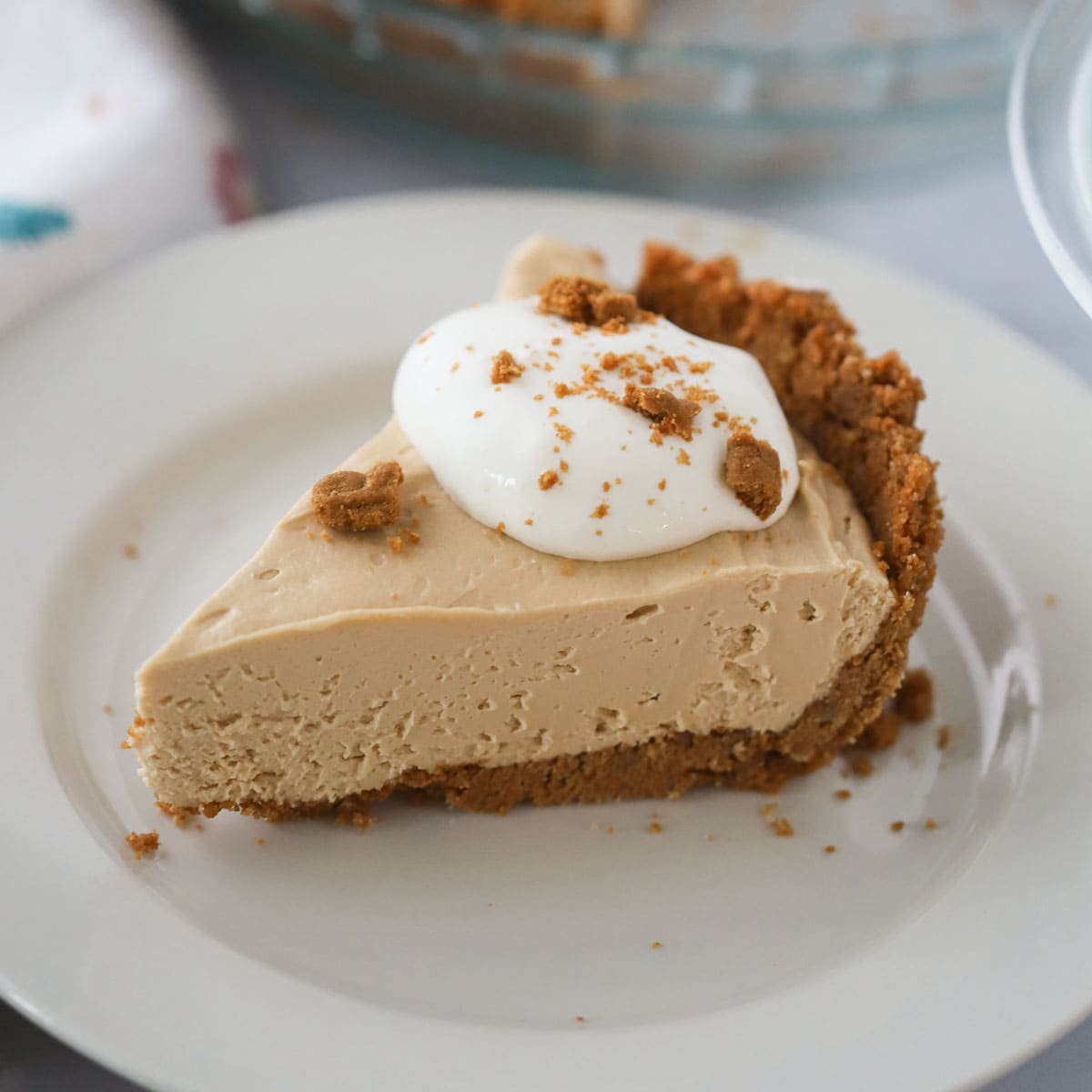 No Bake Cookie Butter Cheesecake The Carefree Kitchen