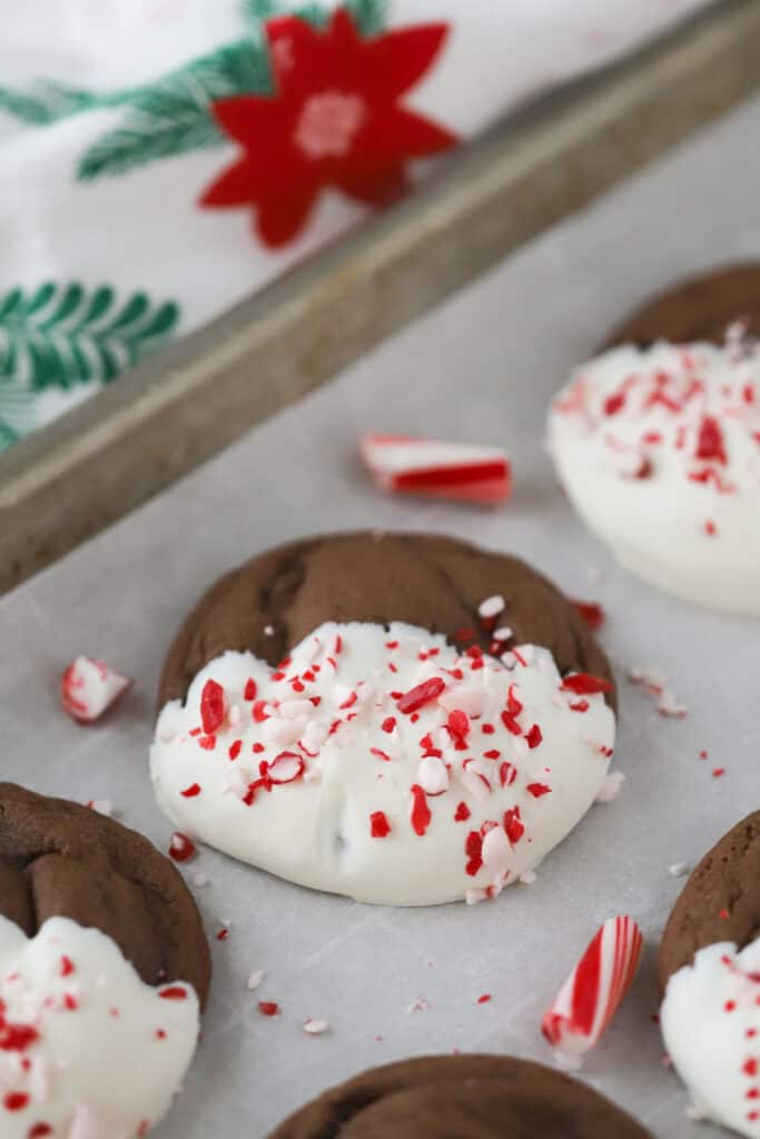 A tray full of chocolate christmas cookies dipped in white chocolate and covered with crushed candy canes.