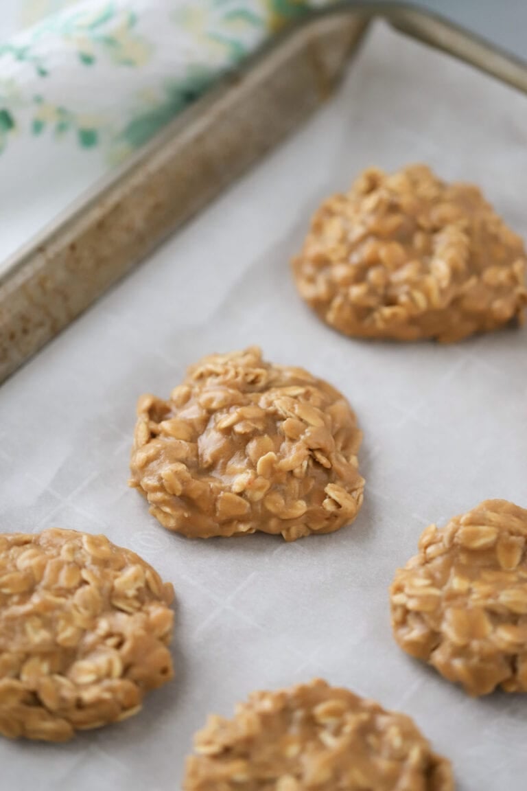 No Bake Cookie Butter Cookies Recipe - The Carefree Kitchen