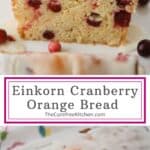 homemade Einkorn Cranberry Orange Bread recipe with all-purpose einkorn flour.