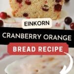 Best Einkorn Cranberry Orange Bread recipe with all-purpose einkorn flour.