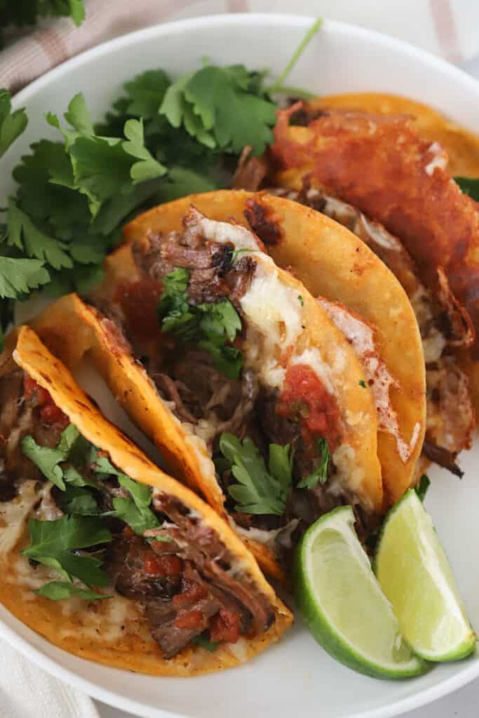 A plate with birria tacos full of shredded beef, melted cheese, salsa, and cilantro. They are also called quesabirria tacos since they are filled with cheese.
