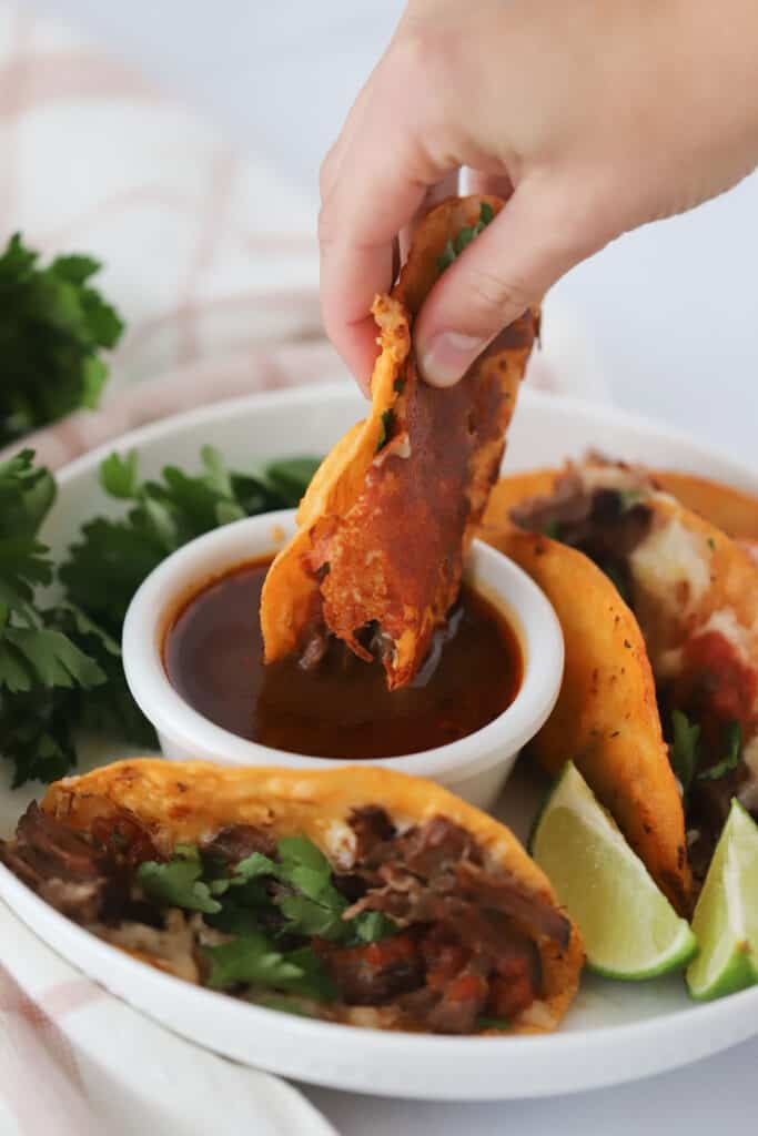 A hand dipping a birria taco into chipotle sauce.