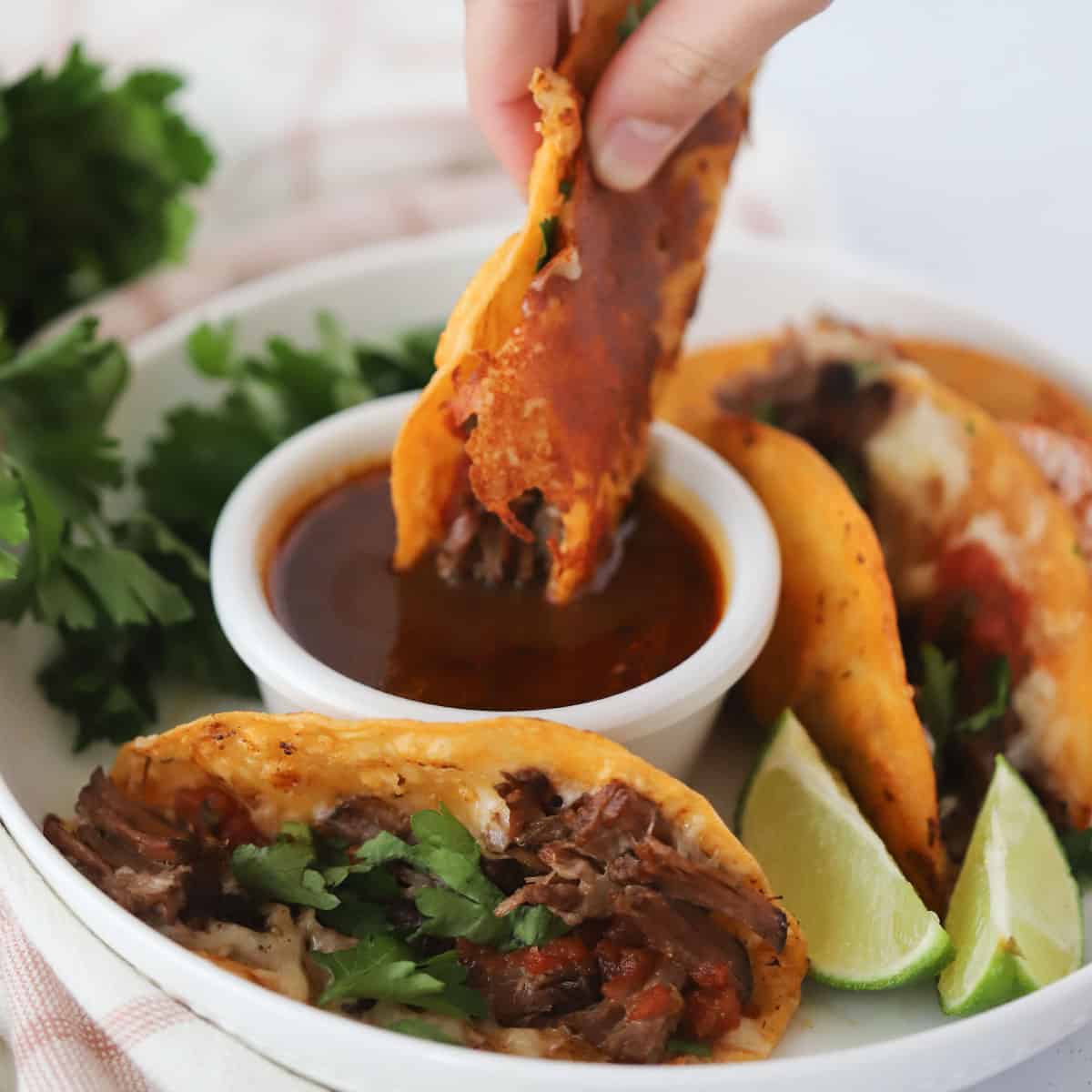 Easy Birria Tacos Recipe-image
