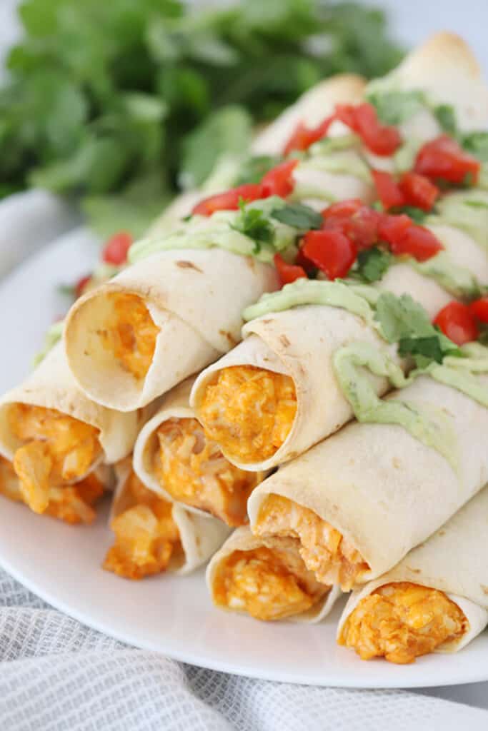 how to make buffalo chicken taquitos recipe, topped with cilantro and your favorite taquito dip.
