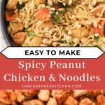 best Spicy Peanut Chicken and Noodles recipe