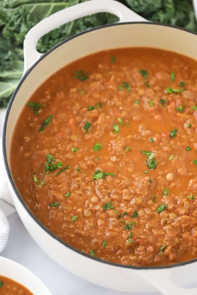 The best Lentil soup recipe, this plant based vegetarian lentil soup is so hearty and delicious.
