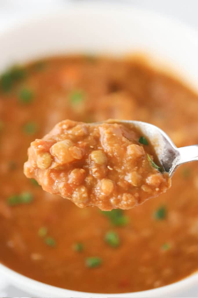 A spoon full of homemade lentil soup, an easy vegetarian recipe.