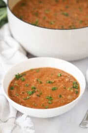 The Best Vegetarian Lentil Soup - The Carefree Kitchen