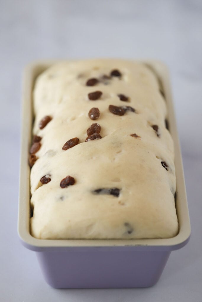 A loaf of homemade cinnamon raisin bread rising in a loaf pan.
