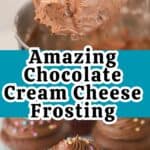 recipe for chocolate cream cheese frosting recipe