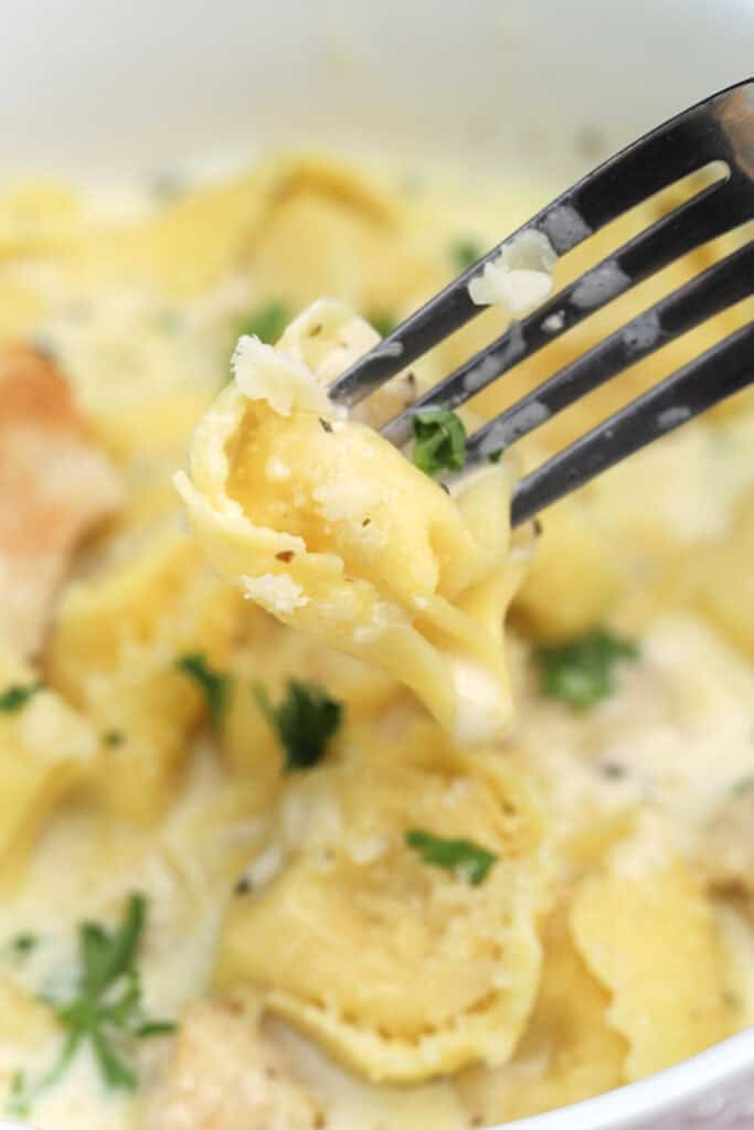 Tortellini pasta on a fork