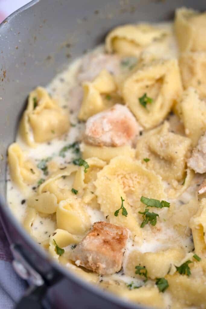 creamy garlic alfredo sauce with tortellini pasta, tortellini alfredo sauce. 