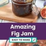 the best fig jam recipe