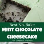 how to make mint chocolate no bake cheesecake recipe. easy no bake dessert idea.