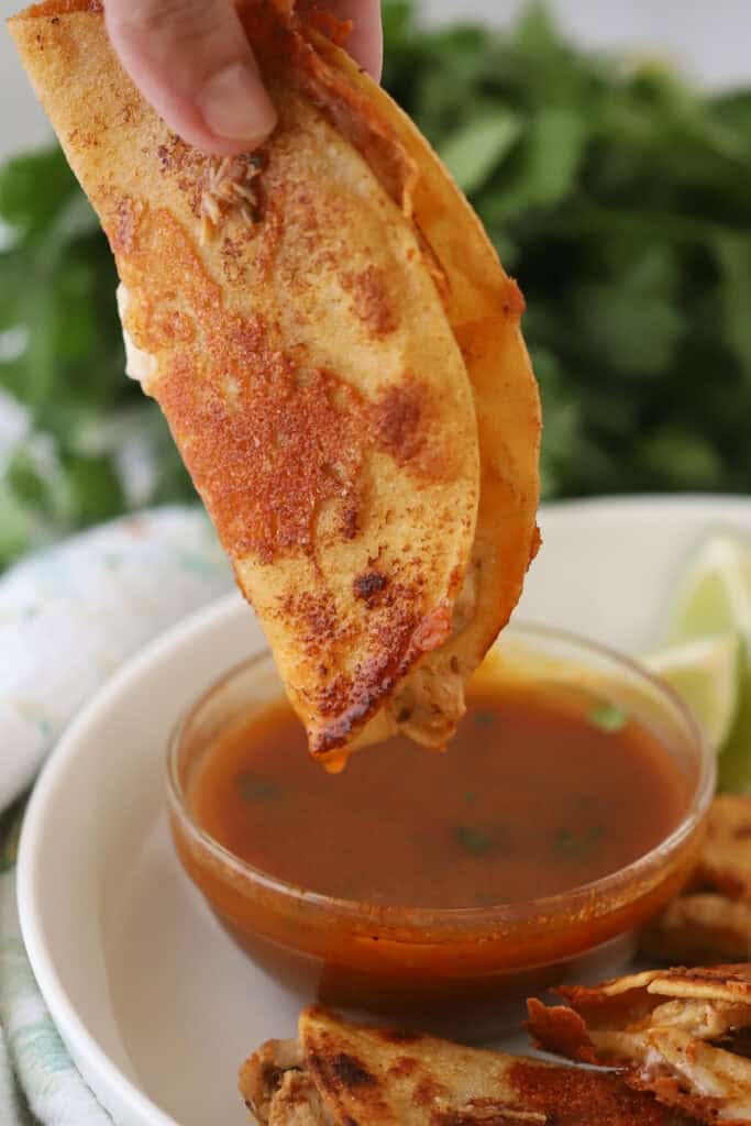 A hand dipping a chicken birria taco into sauce.