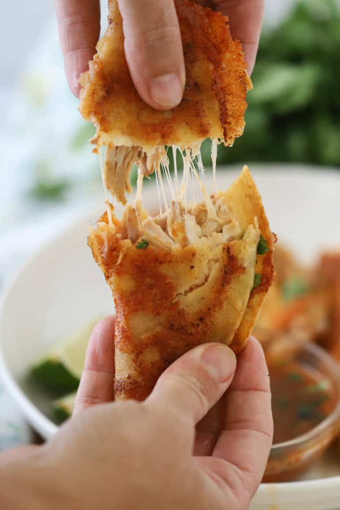 Hands pulling apart a birria chicken taco.