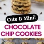 the best Mini Chocolate Chip Cookies on a wire baking rack