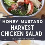 harvest chicken salad made with rotisserie chicken and honey mustard dressing.