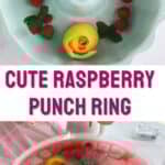 how to make a raspberry punch ring for a party. how to make lemon rosettes.